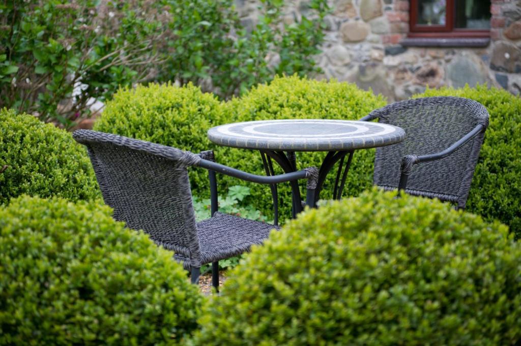Tyn Rhos Country House Caernarfon Chambre photo